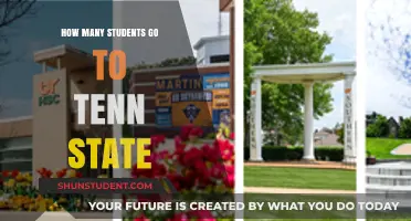 Exploring Enrollment Trends at Tennessee State University