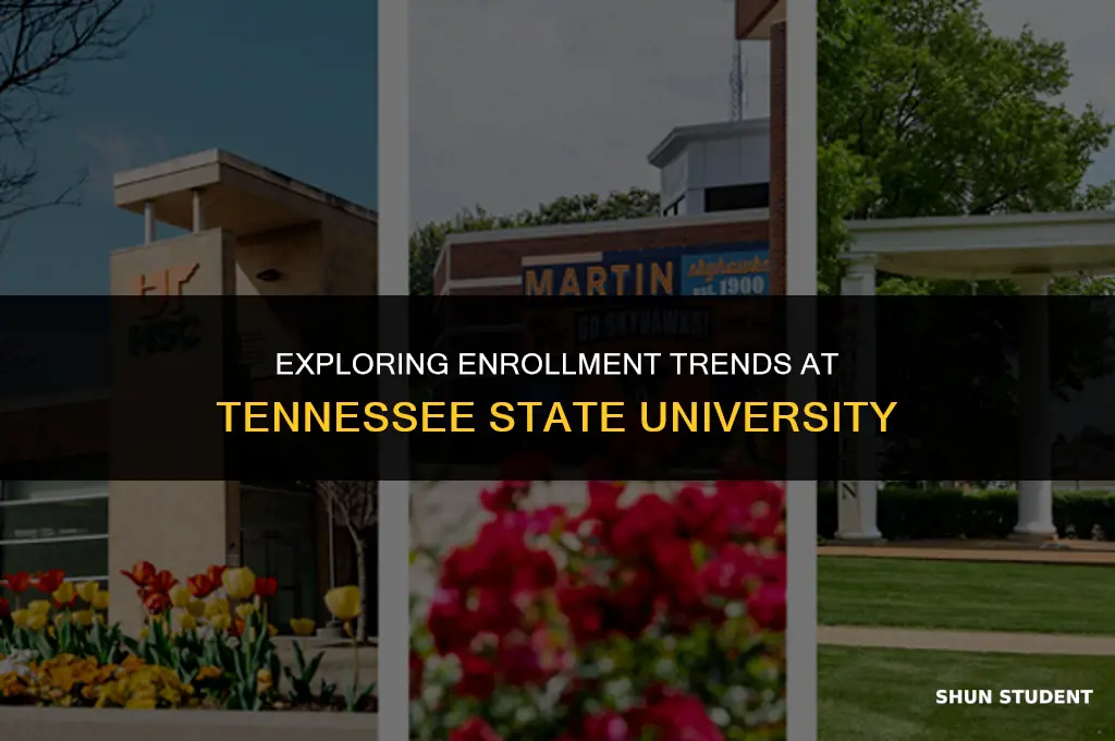 how many students go to tenn state