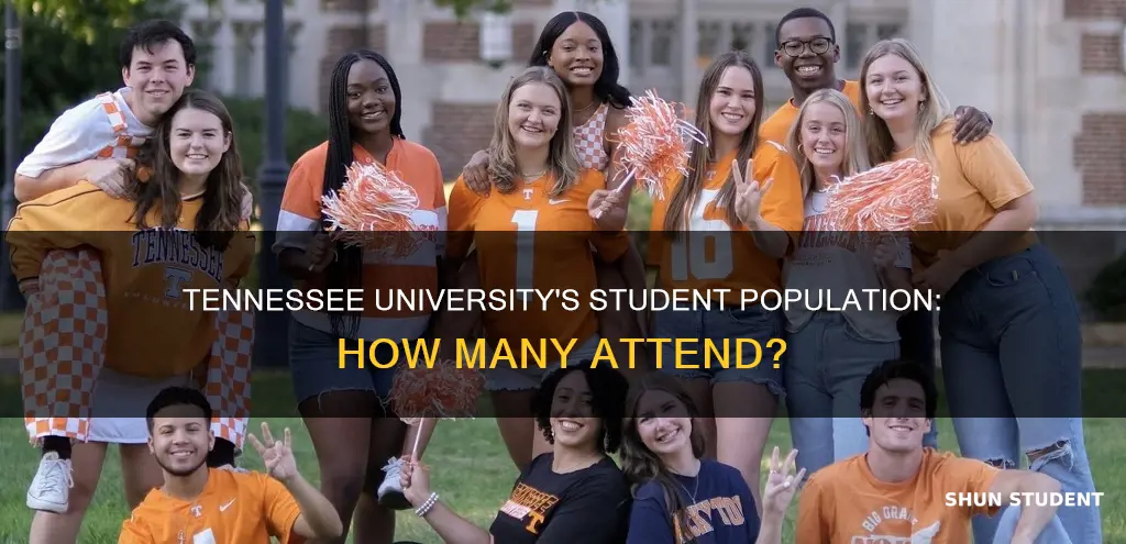 how many students go to tennessee university