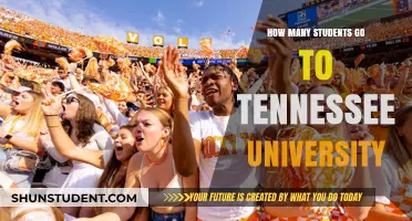 Tennessee University: A Student Population Insight