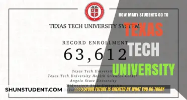 Texas Tech University: Student Population Insights