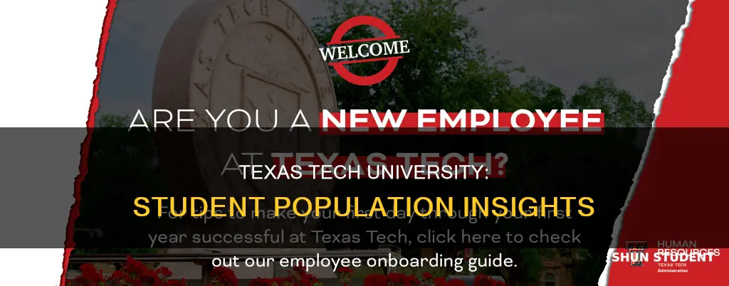 how many students go to texas tech university
