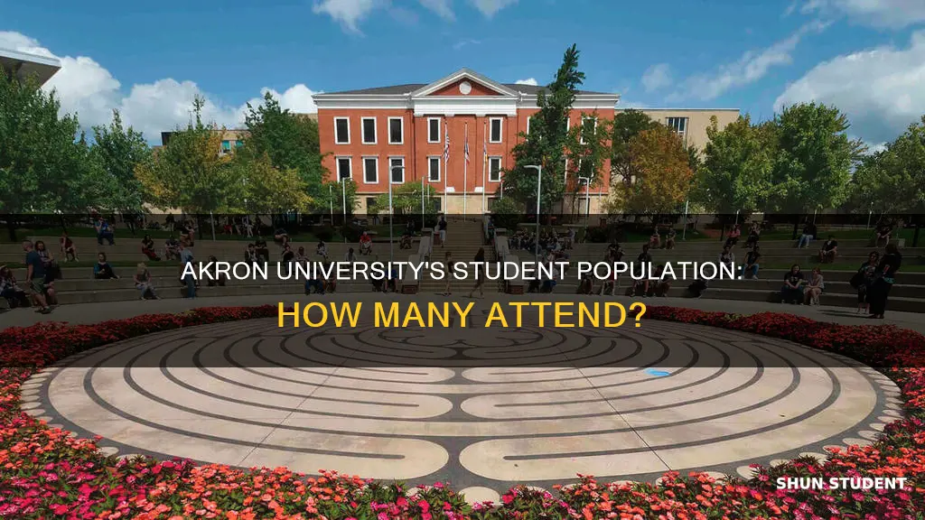 how many students go to the university of akron