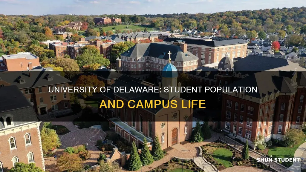 how many students go to the university of delaware