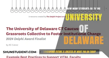 Exploring Enrollment at the University of Delaware