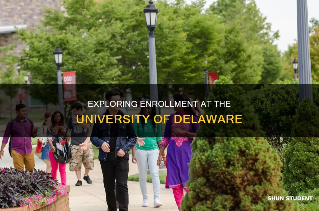 how many students go to the university of delaware