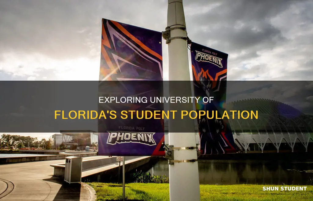 how many students go to the university of florida