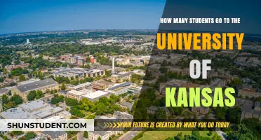 The University of Kansas: Student Population Insights