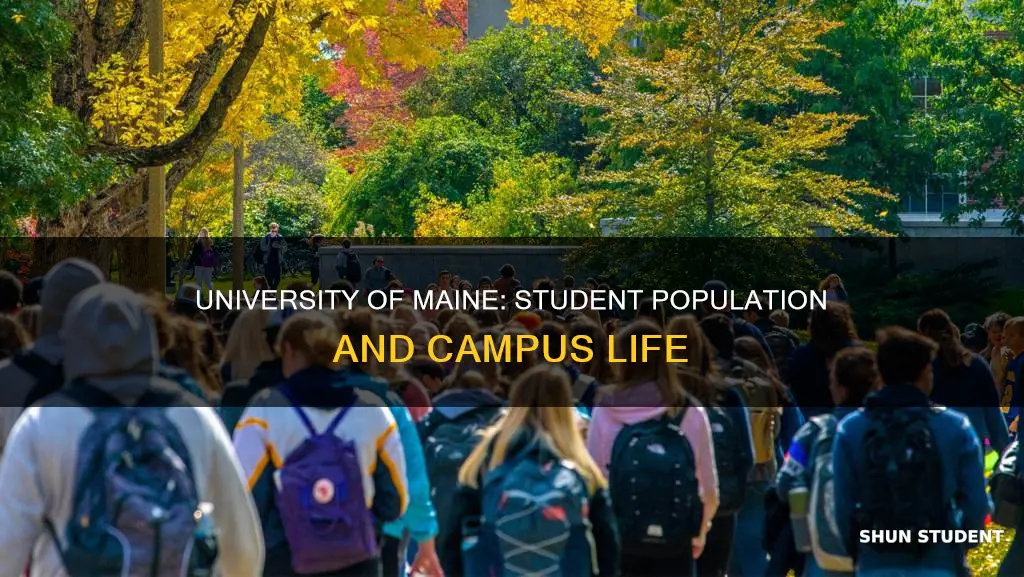 how many students go to the university of maine