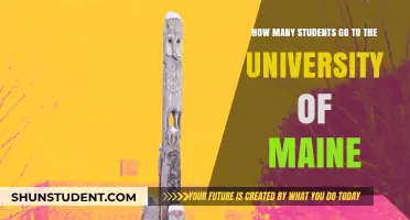 Exploring Enrollment: University of Maine Student Population