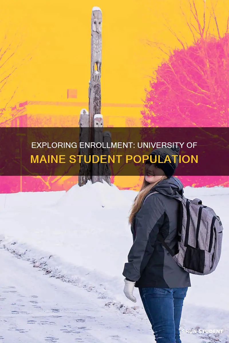how many students go to the university of maine
