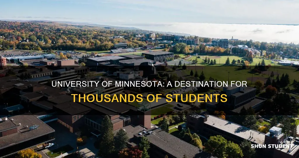 how many students go to the university of minnesota