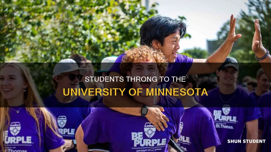 how many students go to the university of minnesota