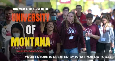 Montana University's Student Population: How Many?