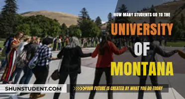 Montana University: Student Population and Campus Life