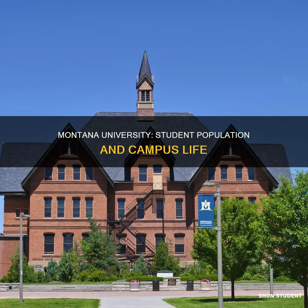 how many students go to the university of montana