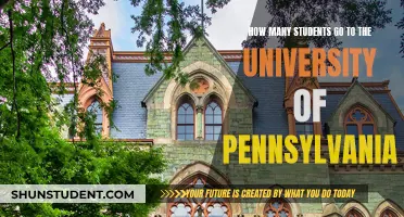 The University of Pennsylvania's Student Population Explored