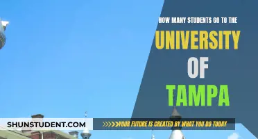 Exploring the University of Tampa's Student Population