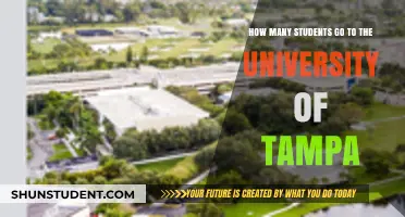 Tampa University's Student Population