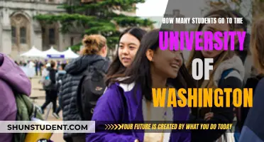 Exploring University of Washington's Student Population