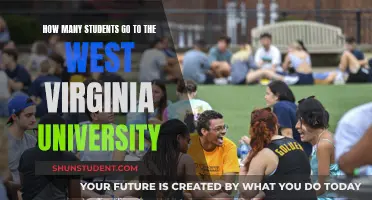 Exploring West Virginia University's Student Population