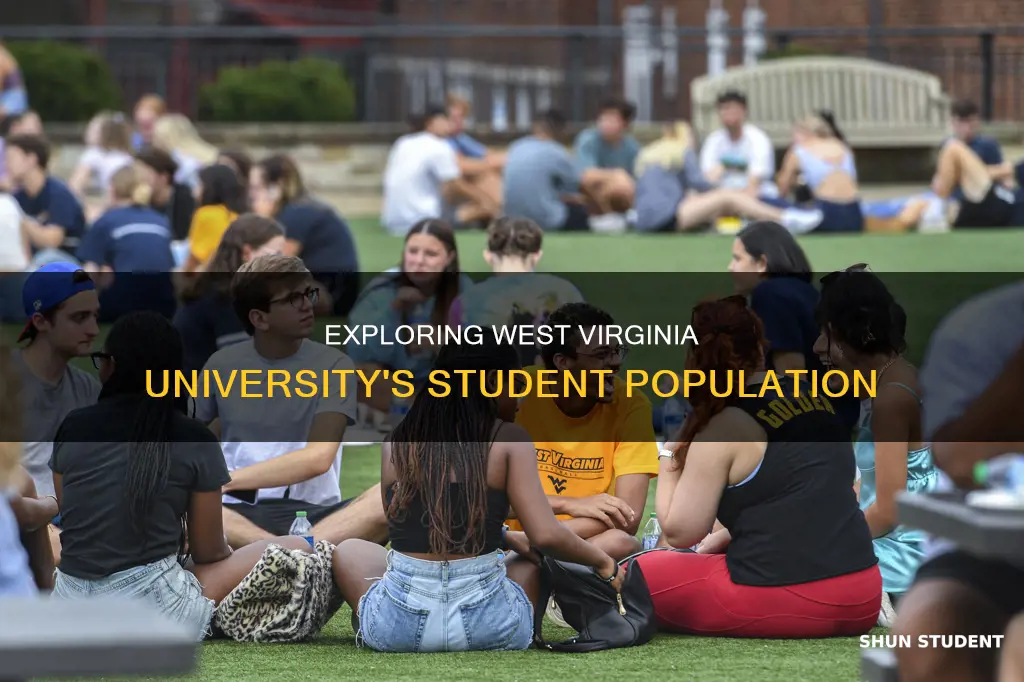 how many students go to the west virginia university