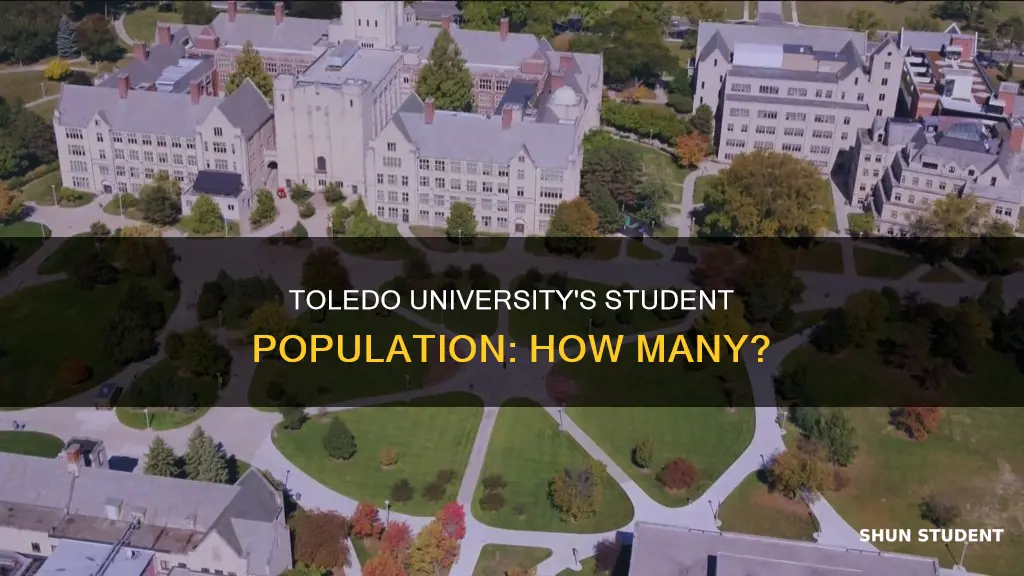 how many students go to toledo university