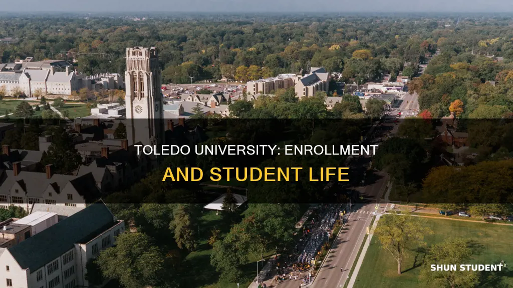 how many students go to toledo university