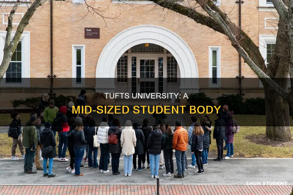 how many students go to tufts university