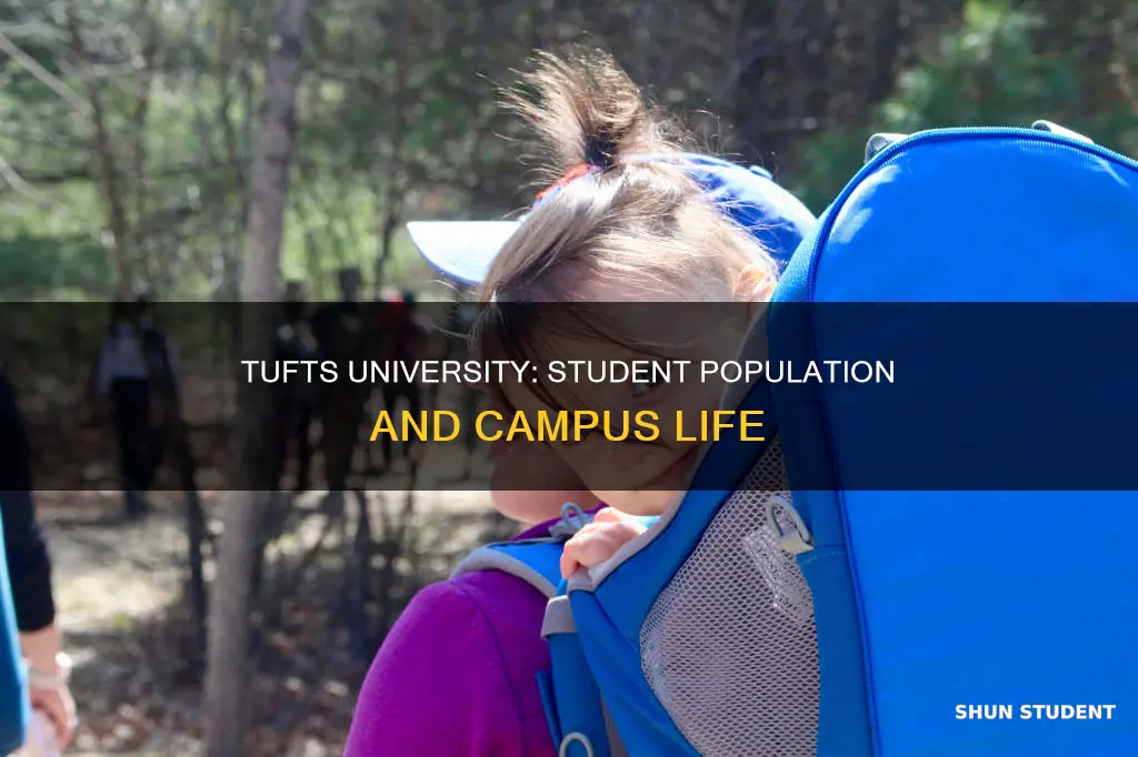 how many students go to tufts university