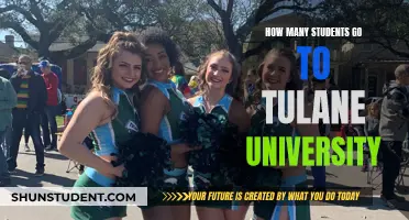 Tulane University's Student Population: A Comprehensive Overview