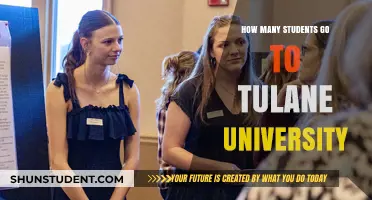 Tulane University's Student Population: How Many?