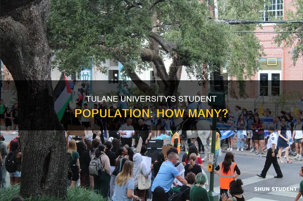 how many students go to tulane university