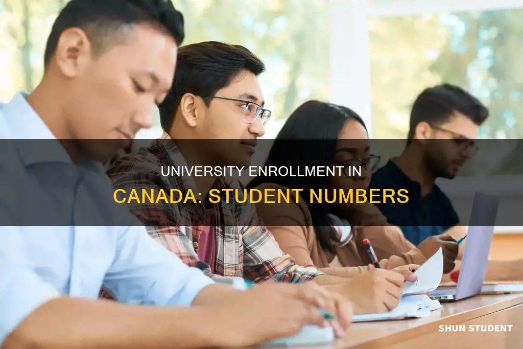 how many students go to university in canada
