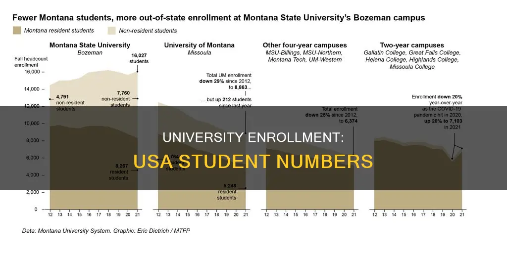 how many students go to university in usa