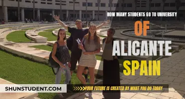 Alicante University's Student Population: A Comprehensive Overview