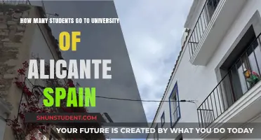 Alicante University: Student Population and Campus Life