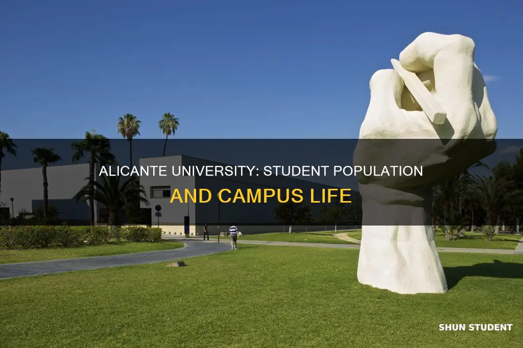 how many students go to university of alicante spain