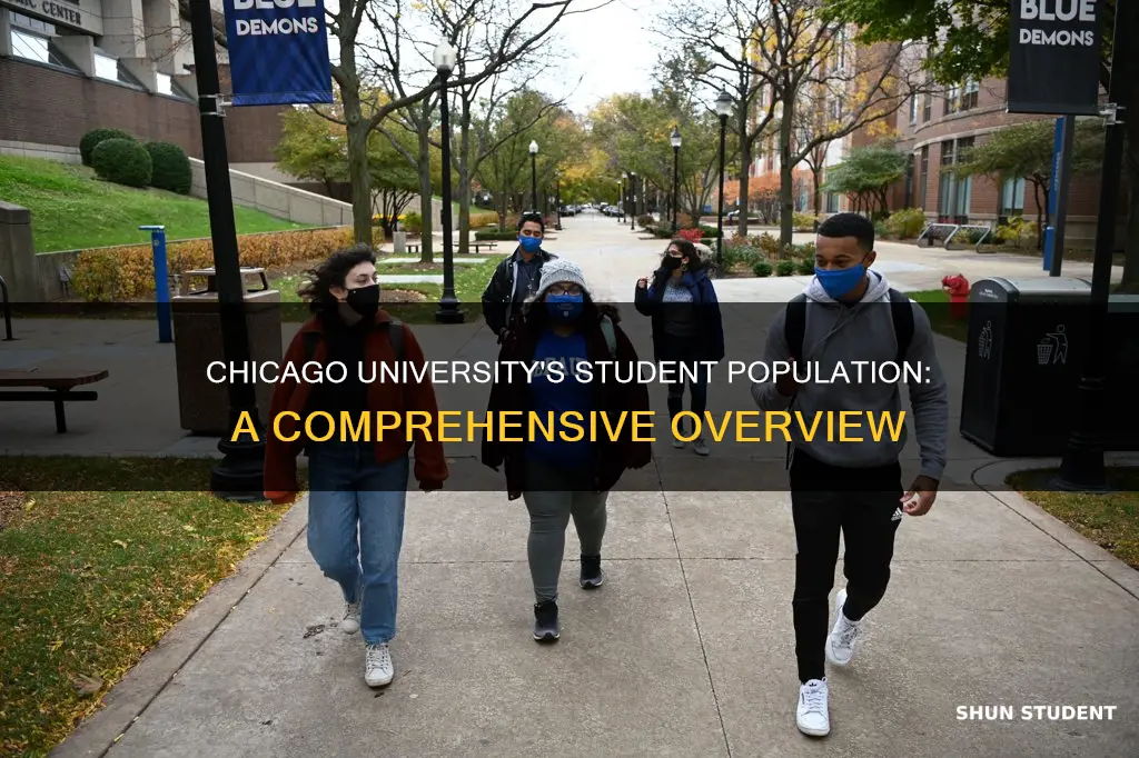how many students go to university of chicago