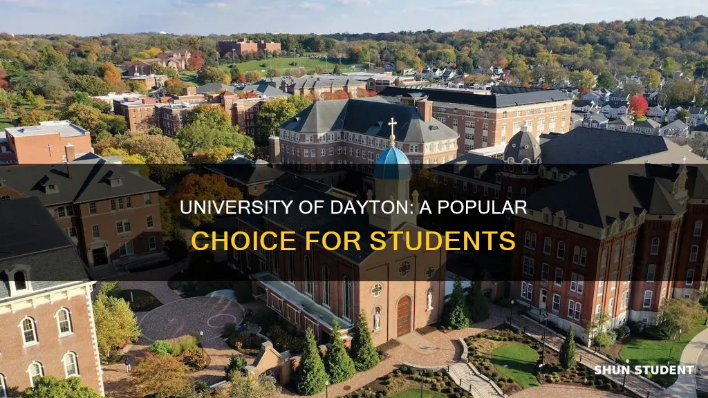 how many students go to university of dayton