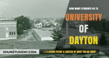 University of Dayton: Enrollment Figures and Trends