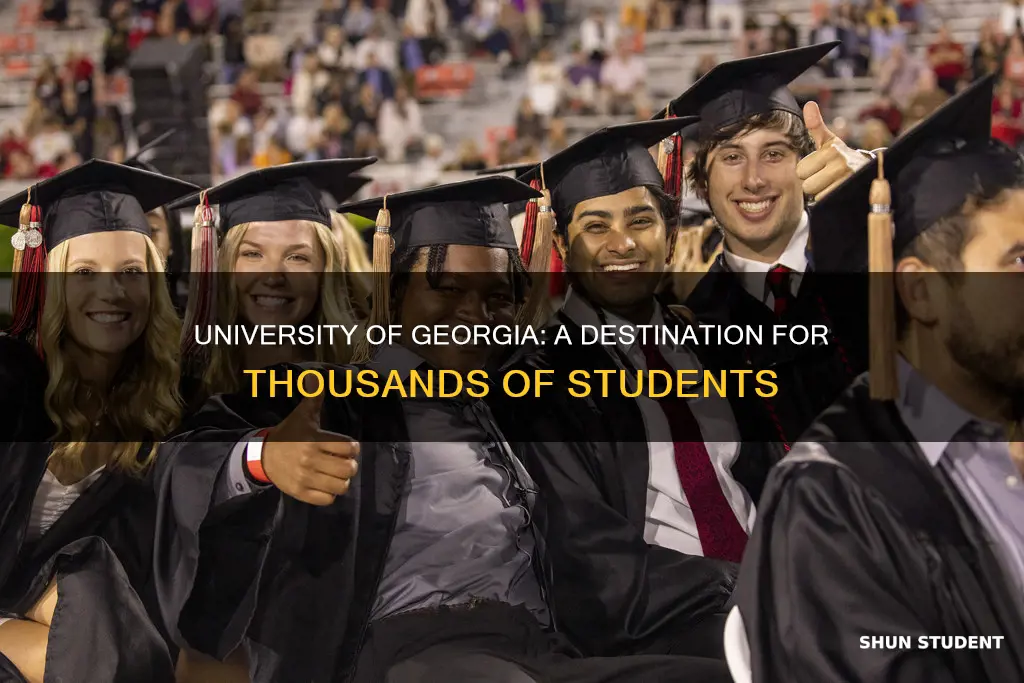 how many students go to university of georgia