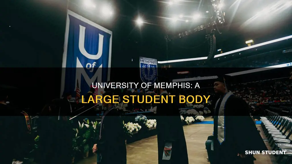 how many students go to university of memphis