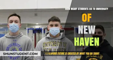 University of New Haven: Student Population Insights