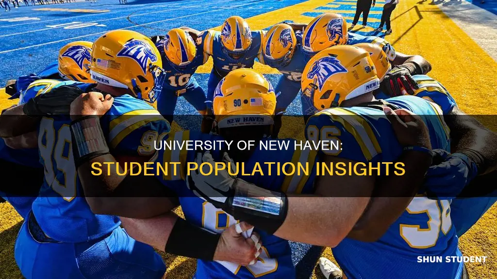 how many students go to university of new haven