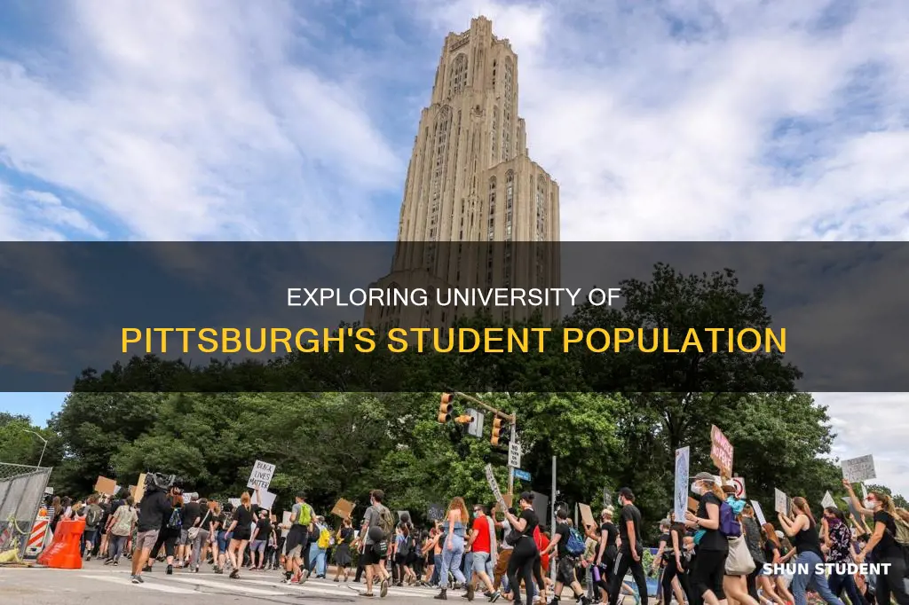 how many students go to university of pittsburgh