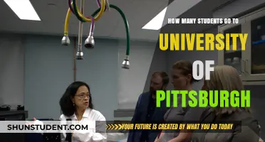 Exploring University of Pittsburgh's Student Population