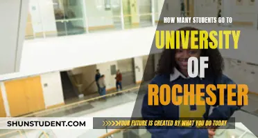 Rochester University's Student Population: A Comprehensive Overview