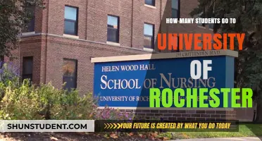 Rochester University's Student Population: A Comprehensive Overview