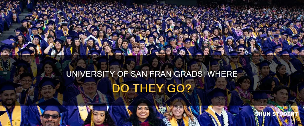 how many students go to university of san fran grads